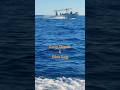Dive Log &amp; Cozy Ocean Coloring Book