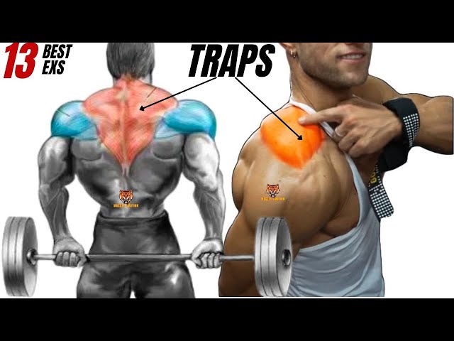 How to Work Traps With Dumbbells: Ultimate Guide for Strength