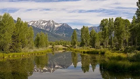 Mountain Living at its Finest in Jackson, Wyoming