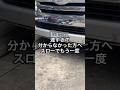 海外のネズミが何かを加えて爆走中 #海外 #ネズミ #動物 #旅行 #海外旅行 #捕食
