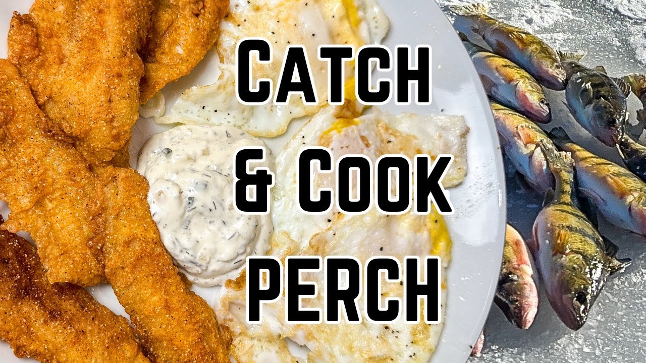 INSANE Ice Fishing For Perch - BREAKFAST Catch And Cook!