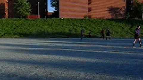 Kampbart - Sintef (2004)