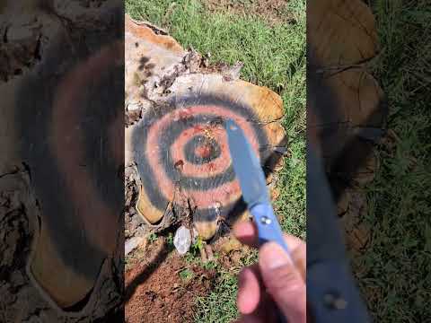 STUMP MASTER!  