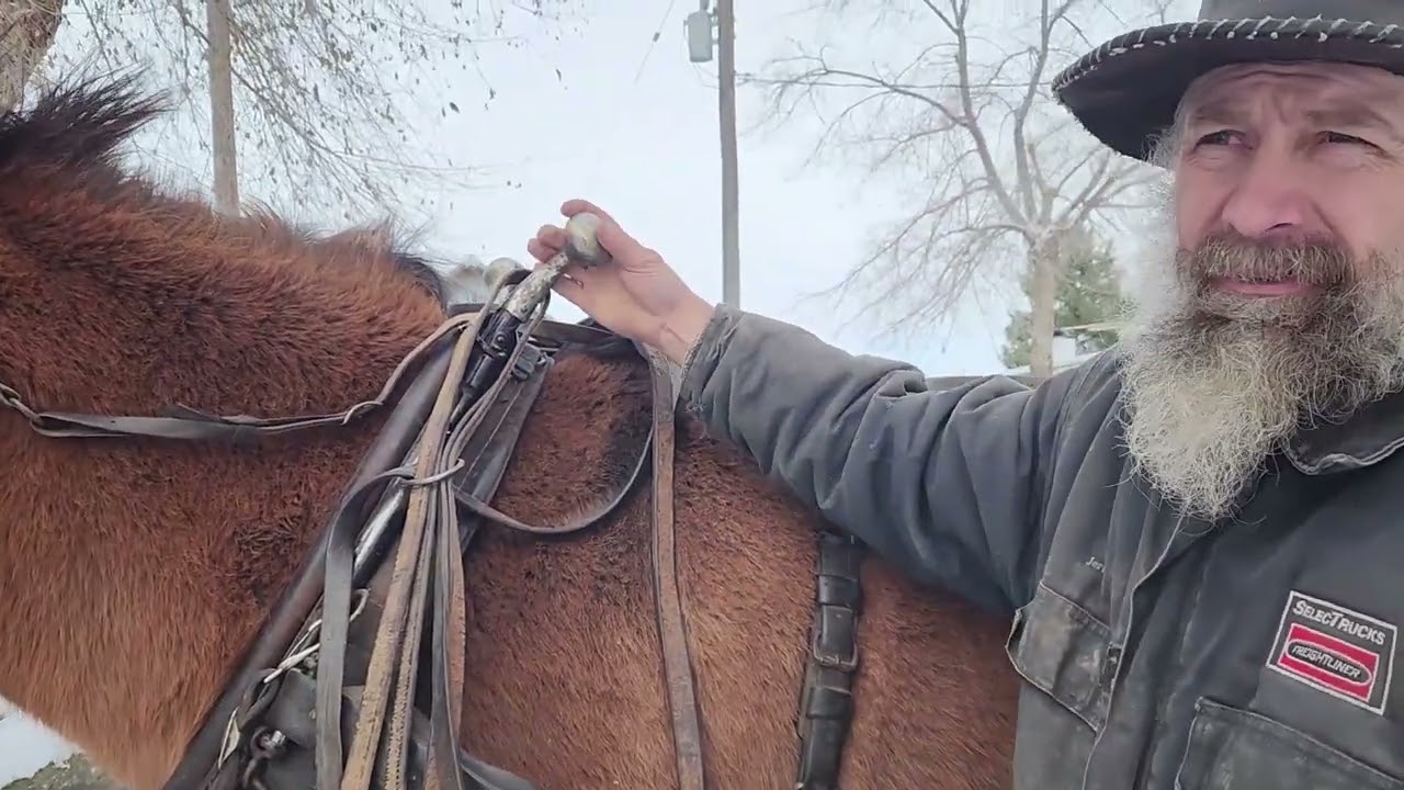 Sleigh Ride: Two-Mule Open Sleigh