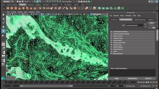 Autodesk maya and OsiriX for surgical simulation
