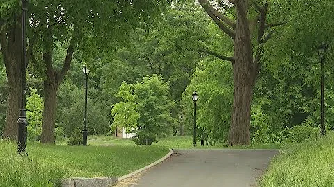 Woman raped at knifepoint in Bronx park as crime surges in NYC - DayDayNews