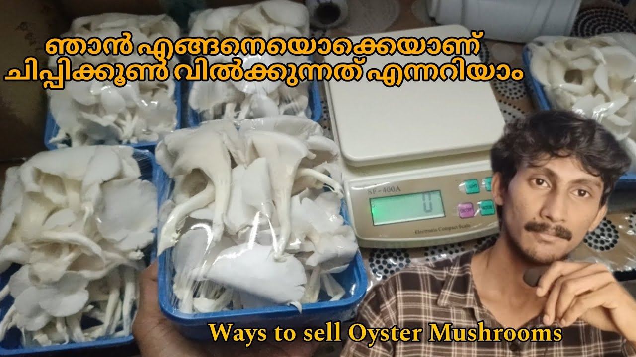 ചിപ്പിക്കൂൺ വിൽക്കാനുള്ള എളുപ്പവഴികൾ | Ways to sell Oyster Mushrooms | Mushroom farming in india