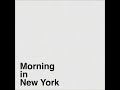 Morning in New York