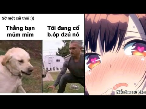 Video Ảnh chế P46 | Tôi đang cố bóp zú thằng bạn mũm mĩm. có... - youtube