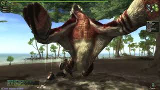 Monster Hunter Frontier - First Gogomoa Fight