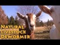 Natural Livestock Dewormer - no harsh chemicals - Deworm Goats Chickens Livestock Dogs etc.