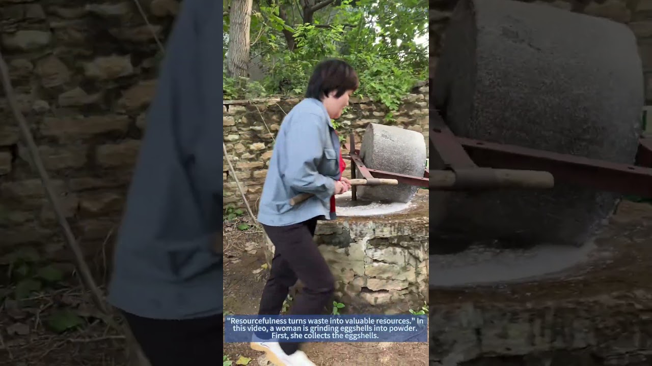 Woman Grinds Eggshells into Powder for Diverse Uses
