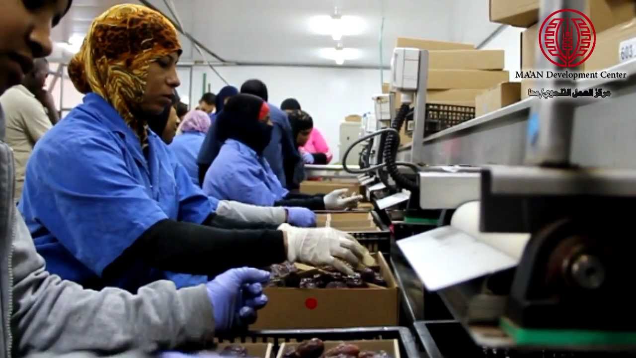 Construction of Date Refrigerators in the Jordan Valley (occupied Palestinian territories)