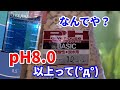 【メイン水槽】pHが下がらない!!リングろ材パワーハウス ベーシックソフト（酸性用）を買ってきた。