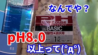 【メイン水槽】pHが下がらない!!リングろ材パワーハウス ベーシックソフト（酸性用）を買ってきた。