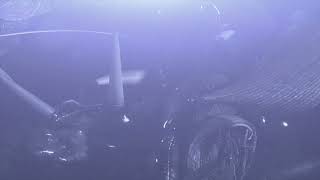 Watch Safety Trance  Arca The Beat Drops video