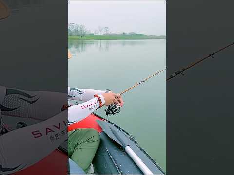 Con gì mà chạy  100m cước!!