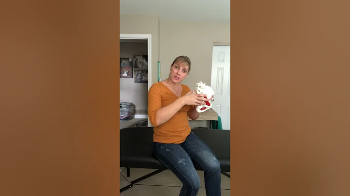 What's My Back Pain Got to Do With It?