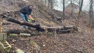 Apiary Expansion