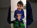 وش فائدة المدرسة Shorts 