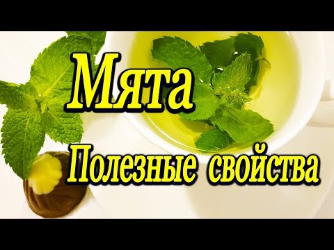 мята почему полезно пить мятный чай польза и противопоказания мяты - Смотреть видео с Ютуба без ограничений