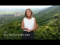 [Bande-annonce] Des racines & des ailes – L’Alsace, terre de passion