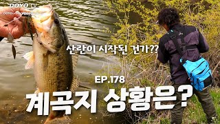 [도요TV ep.178] 봄을 맞아 찾아온 계곡지! 배스는 어디에?