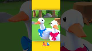 Five Little Ducks Song By Hooplakidz