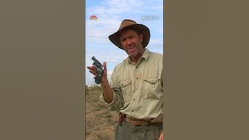 Using A Gun To Call For Help 🔫 | All Aussie Adventures #shorts