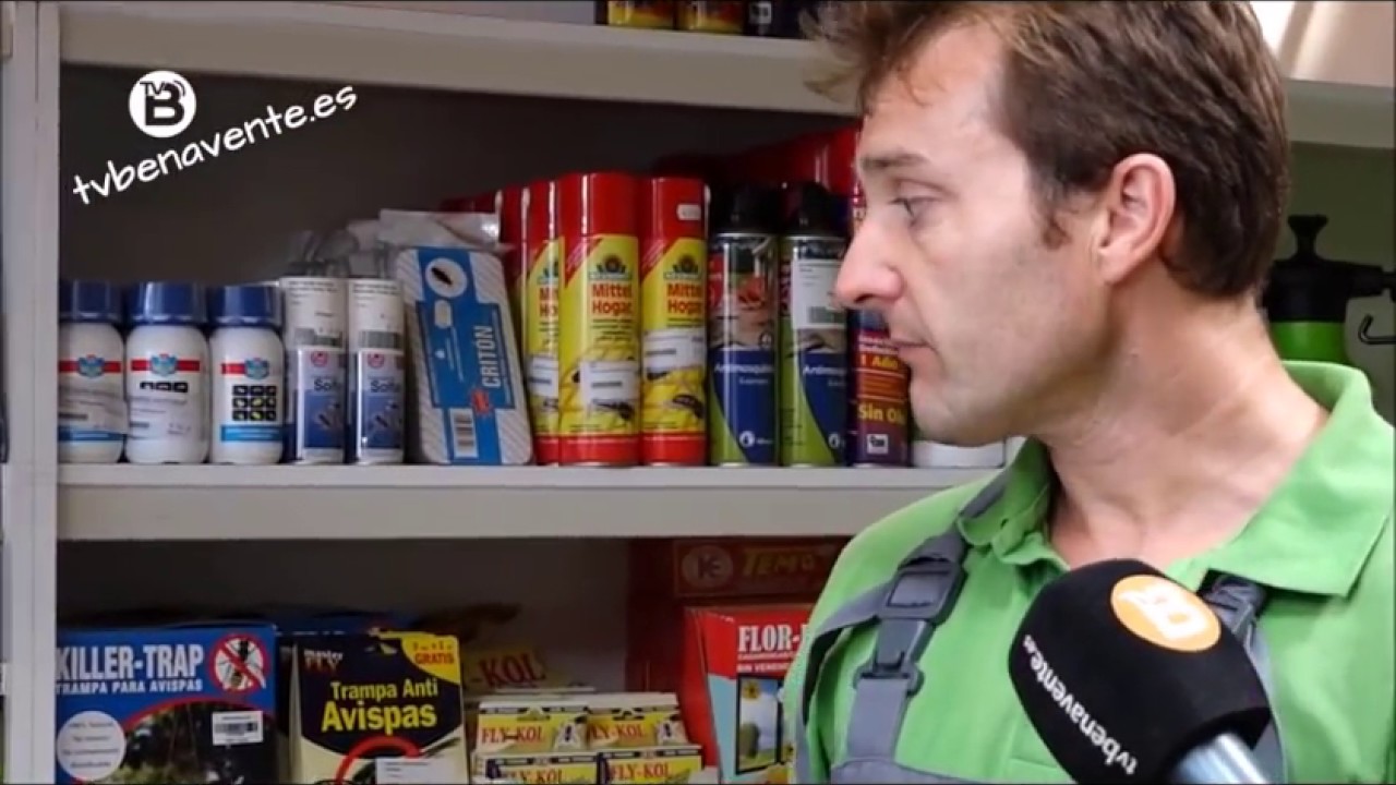 Consejos para cuidar el césped y el jardín. - YouTube