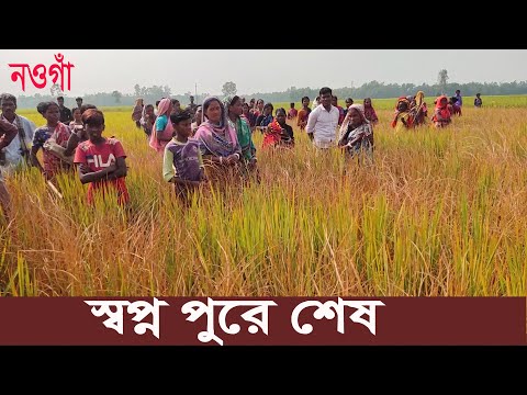 আদিবাসীদের কান্না শুনাবে কে? বিষাক্ত কীটনাশক ছিটিয়ে কৃষকের ৬০ বিঘা জমির ...