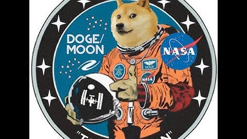 Dogecoin?