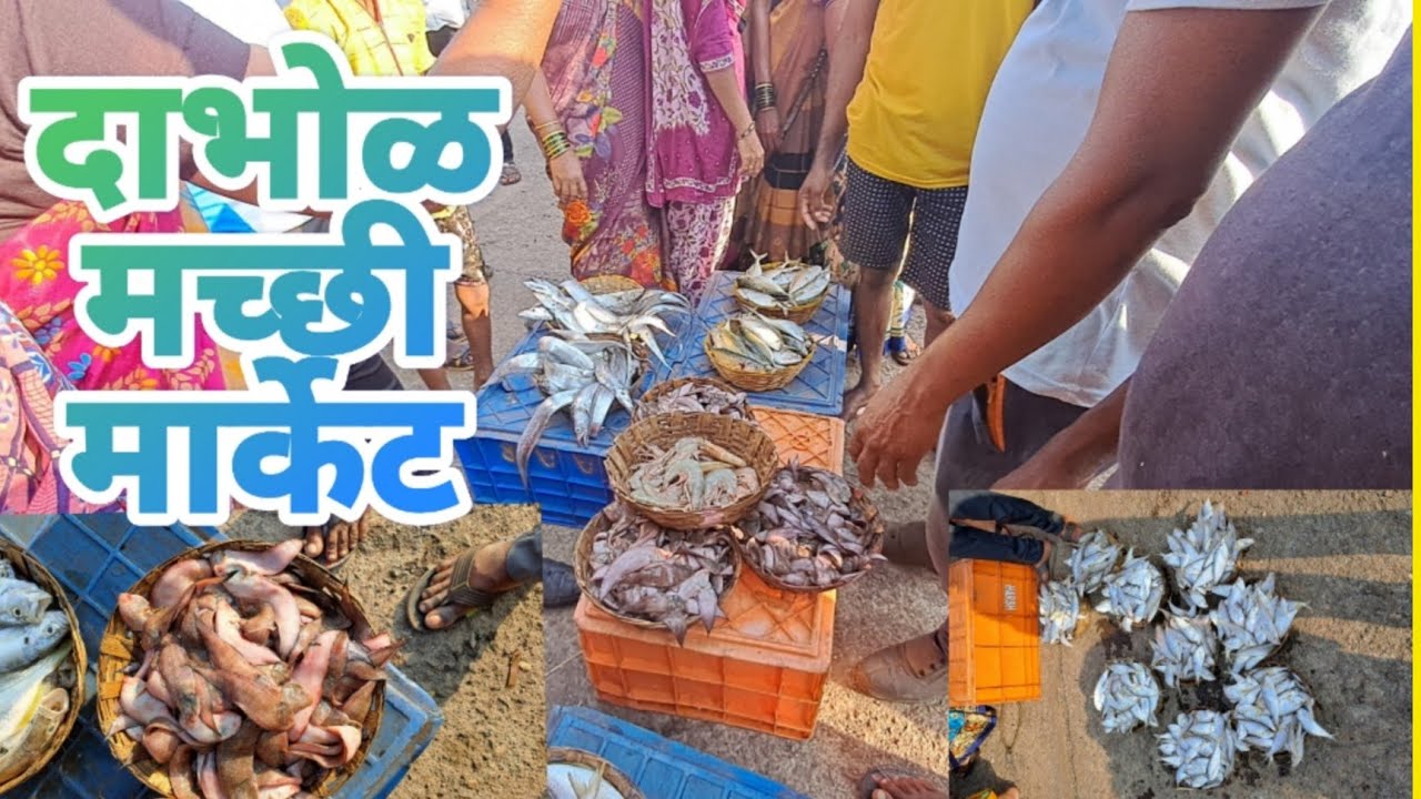दाभोळ स्वस्त मच्छी मार्केट | Dhabol fish Market-Auction दाभोळ दापोली (konkan vlog)