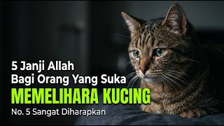 Inilah 5 Janji Allah Bagi Yang Suka Memelihara Kucing Menurut Islam, No. 5 Paling Diharapkan