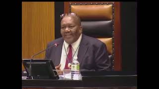 The Funny Parliament of South Africa  05