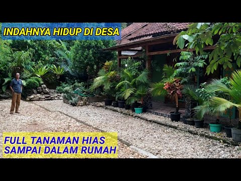 Video: Lanskap Rumah Hijau – Menambah Tumbuhan di Sekitar Rumah Hijau Anda