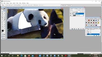 Class 8th Ch-5 (Learning Photoshop CS6) Part-3 [24 Nov 2020]