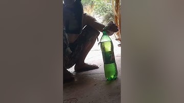 sáu nắp 2T một khổng lông xăng. xăng pha nhớt máy cưa