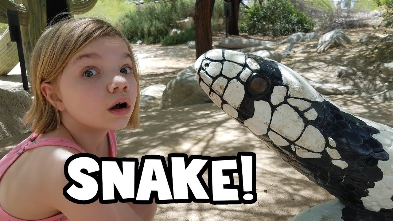 Desert Animals! Living Desert Zoo Palm Springs