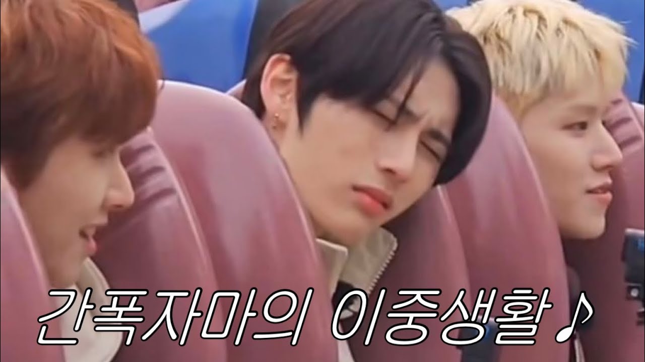 주기적으로 수혈하는 한태산 모음 zip.