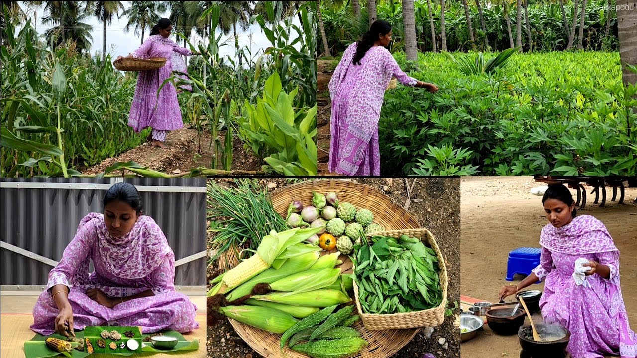 இப்படி ஒரு சாப்பாடு சாப்ட யாருக்குதாங்க ஆசை இருக்காது Harvesting and cooking traditional  recipes 😋