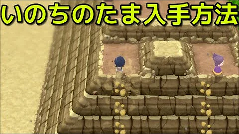 ポケモン いのちのたまsンダ
