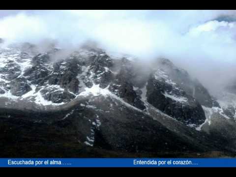 JUAN SALVADOR GAVIOTA POR NEIL DIAMOND juan salvador gaviota por neil diamond: