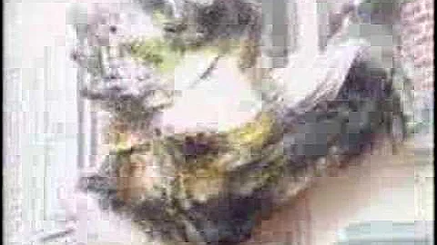 Firefighter Close Call -