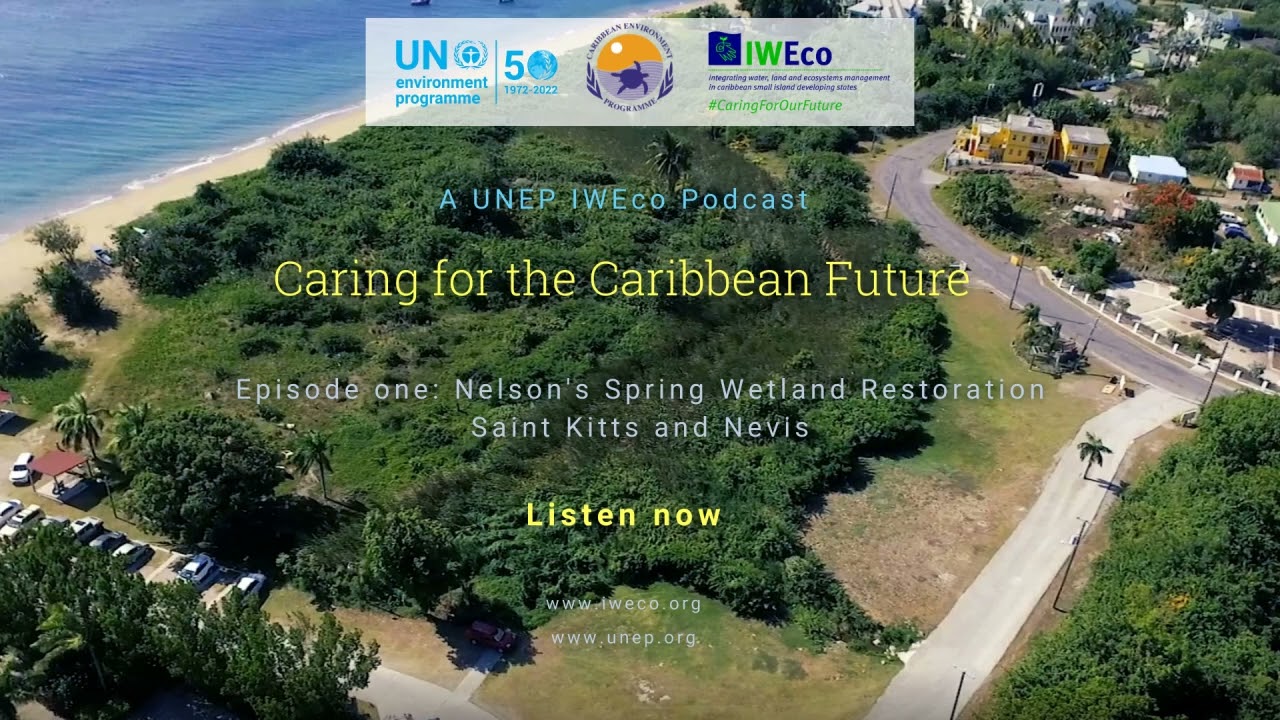 Caring for the Caribbean Future: A UNEP IWEco Podcast- Episode 1