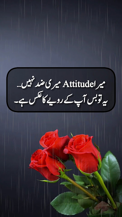 My attitude depends on your behaviour #AttitudeQuotes #LifeTruths #PositiveVibes #SilentReply