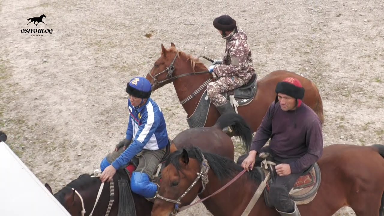 Oqoqrg'on Eltomg'ol Maxalasi Soli Akani Bir kunlik kopkarisi 02.03.2026 