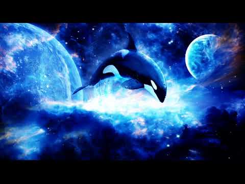 Deep Meditation & Relaxation With The Sound Of The Killer Whale (15 Minutes)