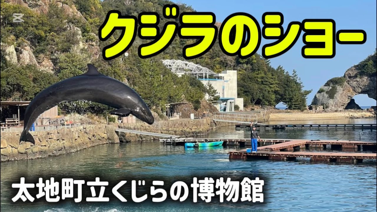クジラのショー　太地町立くじらの博物館