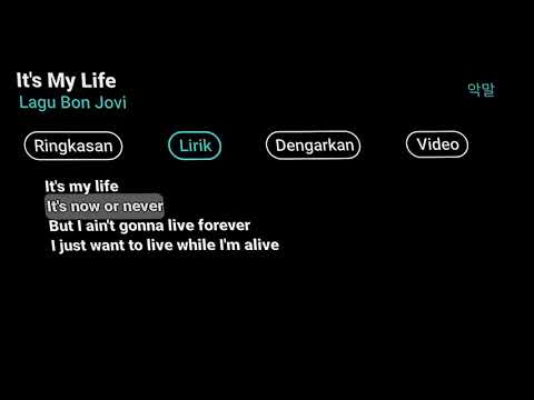 Dj it's My Life kane